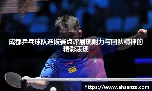 BB贝博ballbet